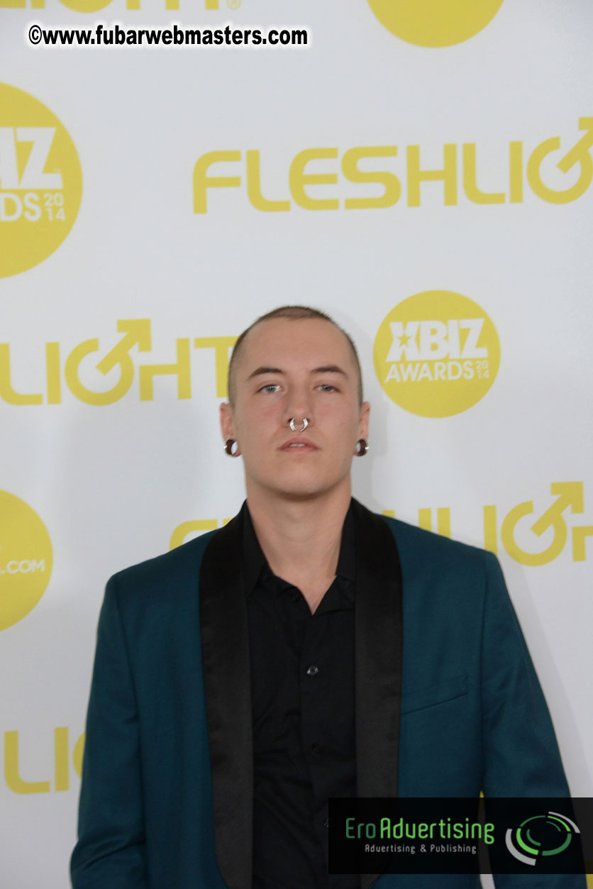 2014 XBIZ Awards