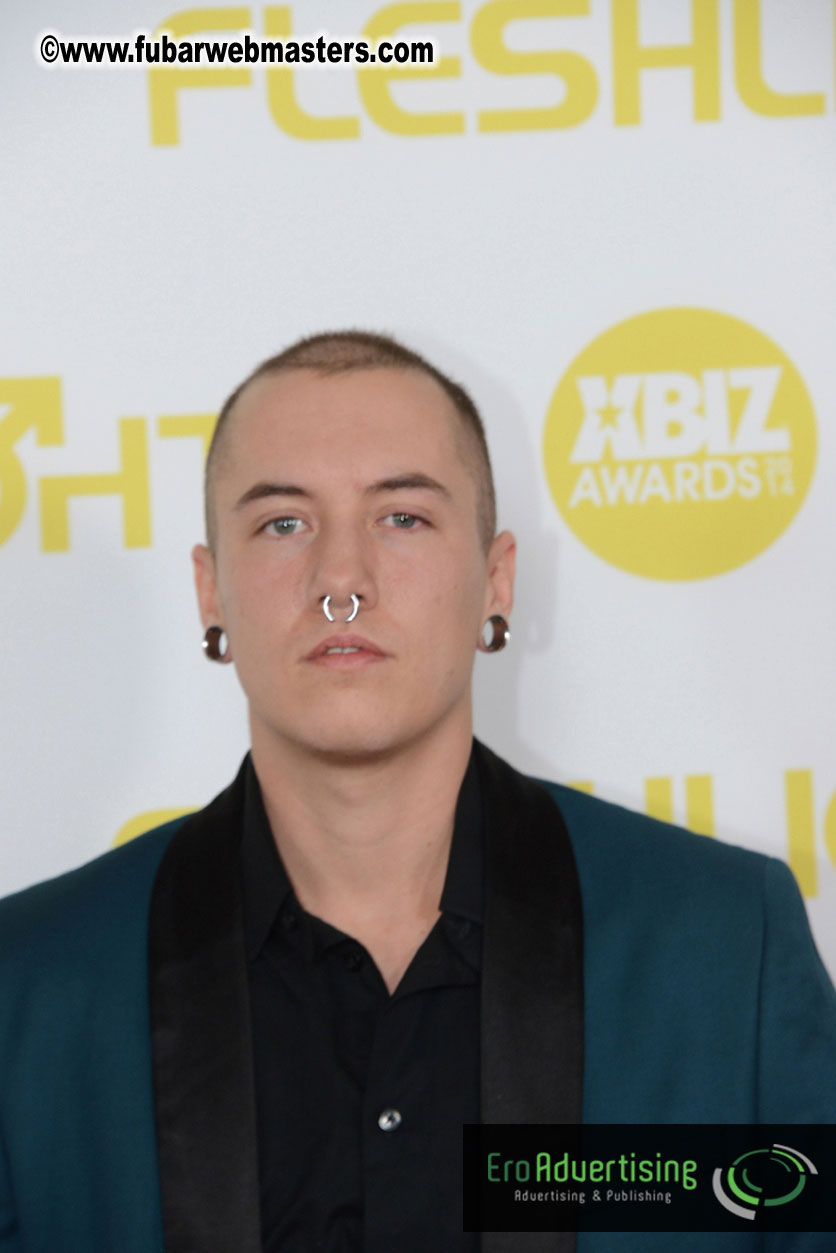 2014 XBIZ Awards