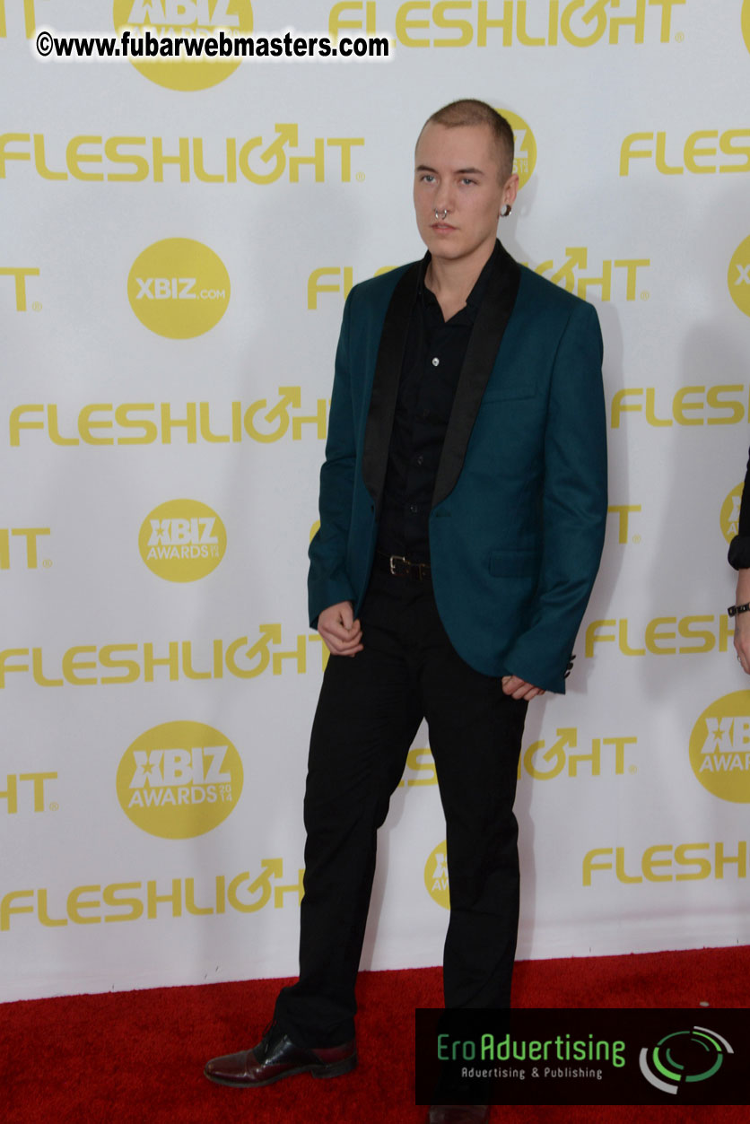 2014 XBIZ Awards