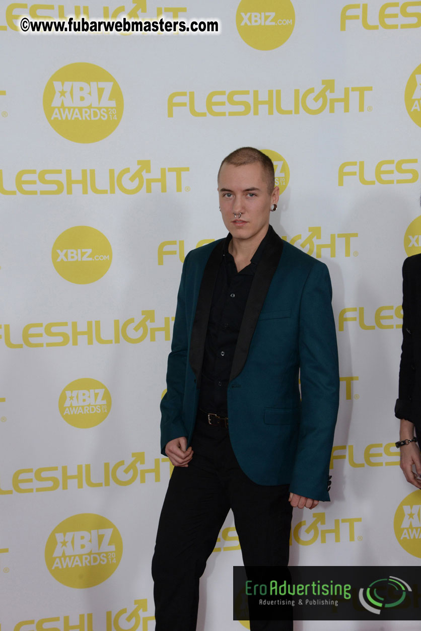 2014 XBIZ Awards