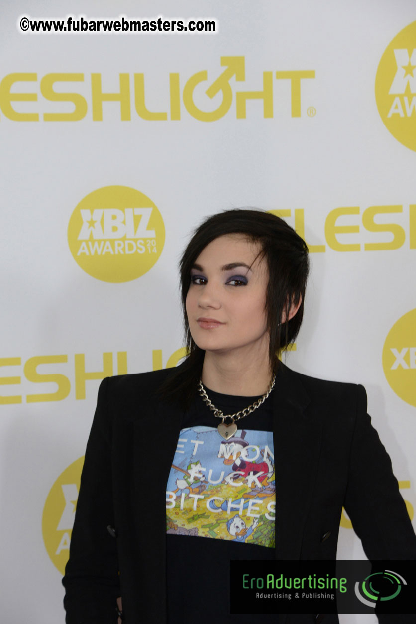 2014 XBIZ Awards