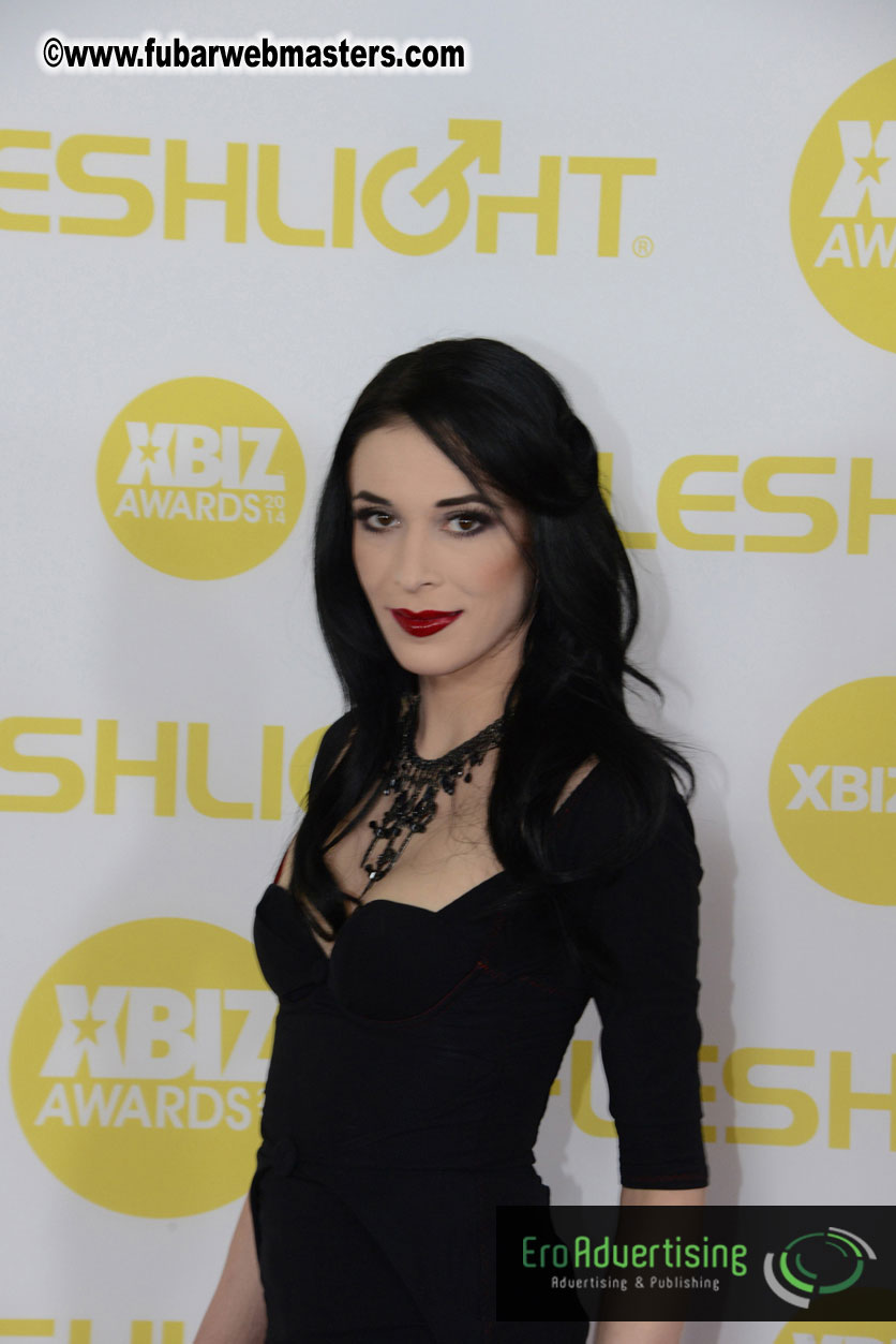 2014 XBIZ Awards