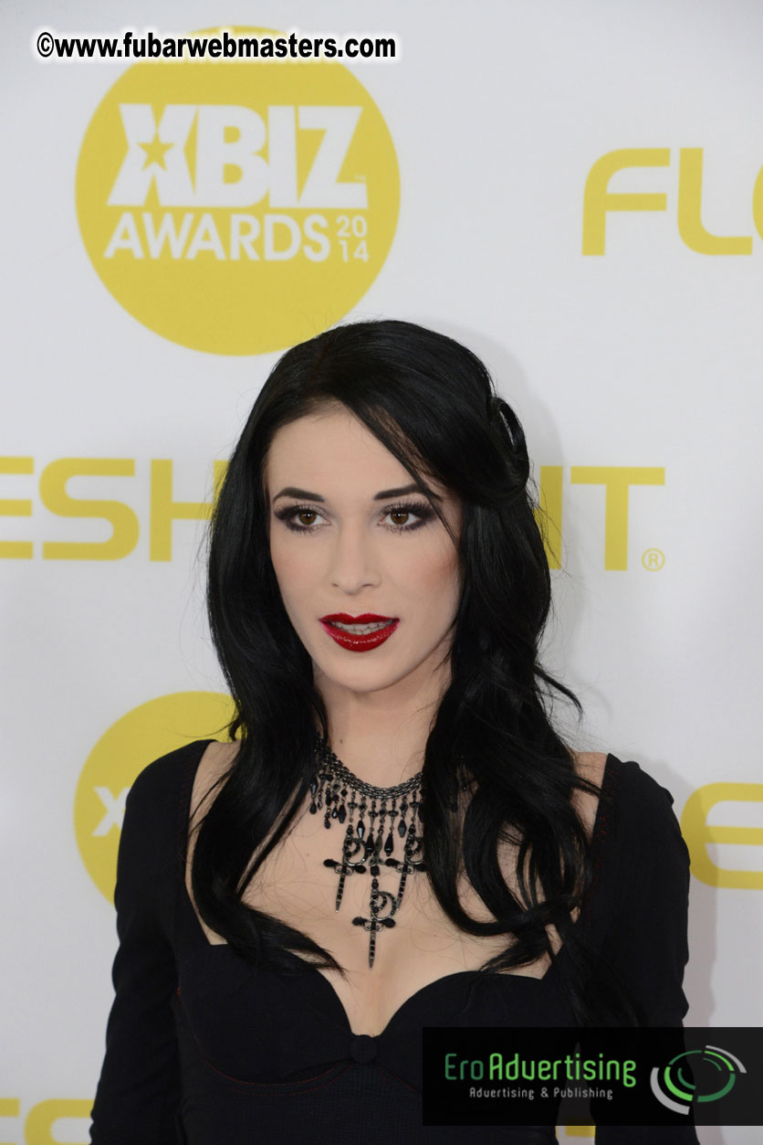 2014 XBIZ Awards