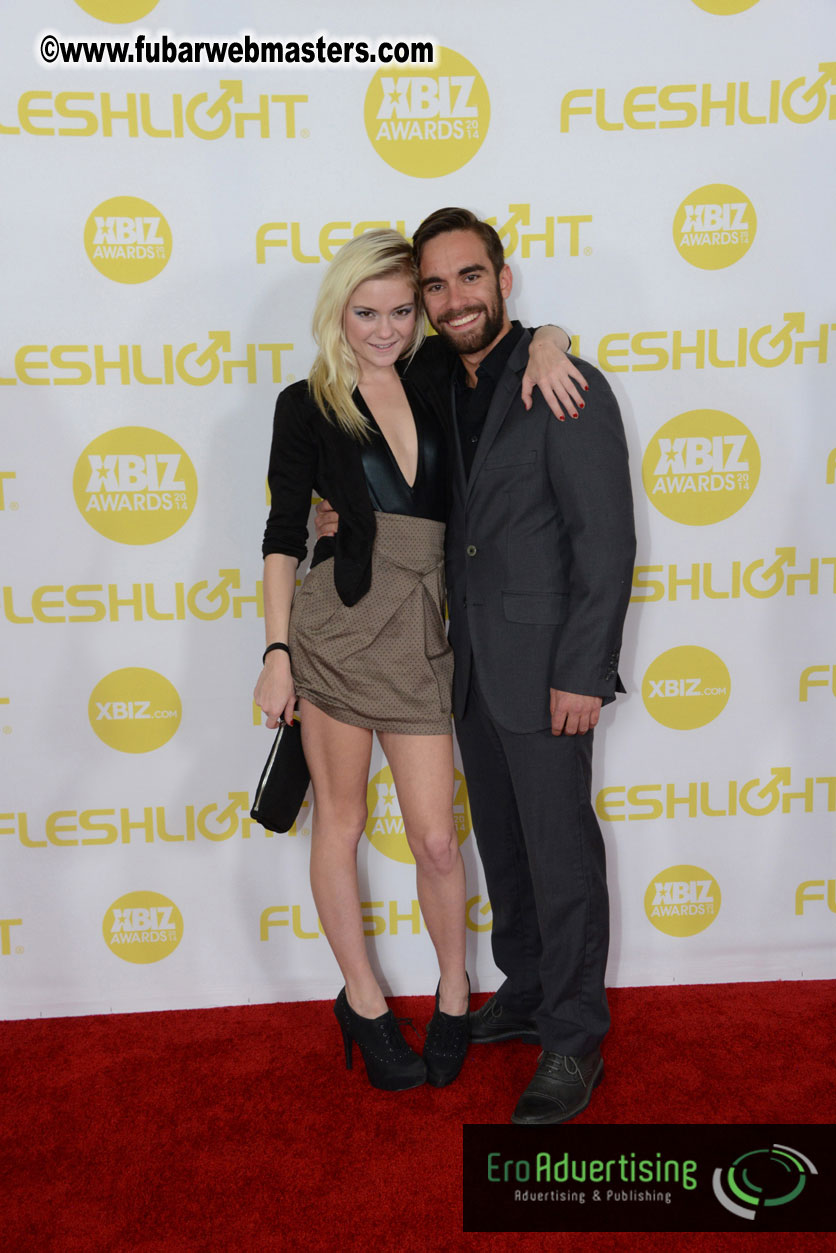 2014 XBIZ Awards