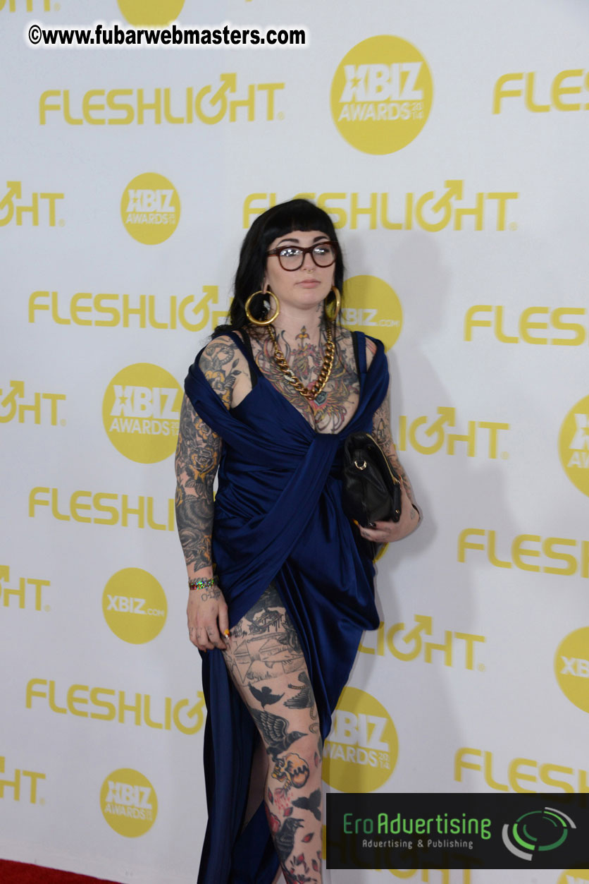 2014 XBIZ Awards