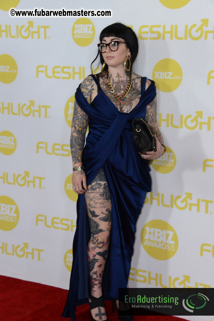 2014 XBIZ Awards