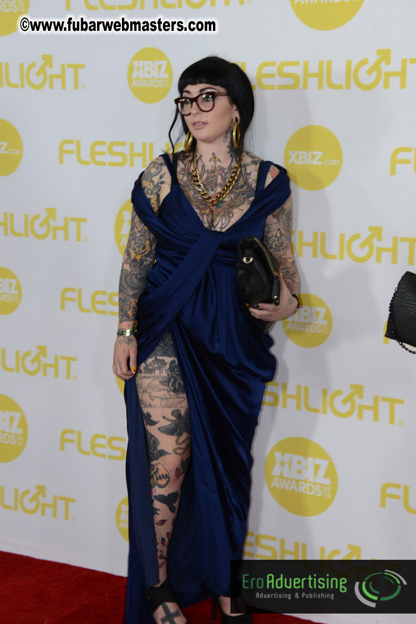 2014 XBIZ Awards