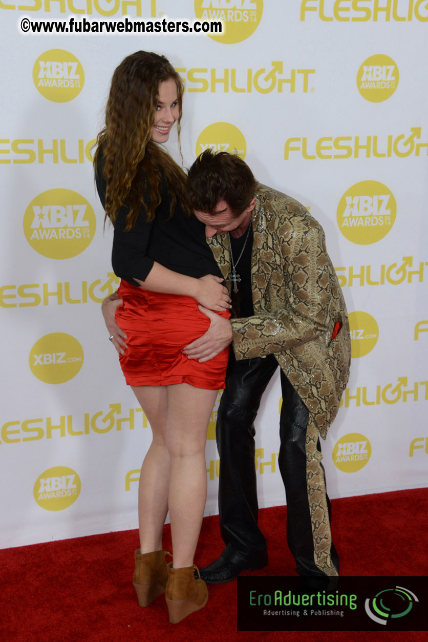 2014 XBIZ Awards