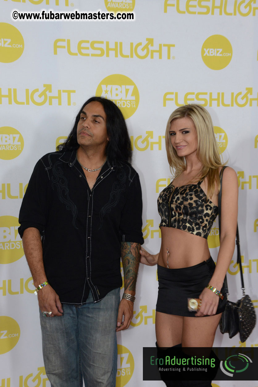 2014 XBIZ Awards