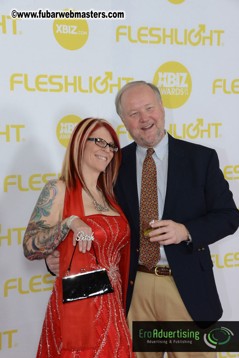 2014 XBIZ Awards