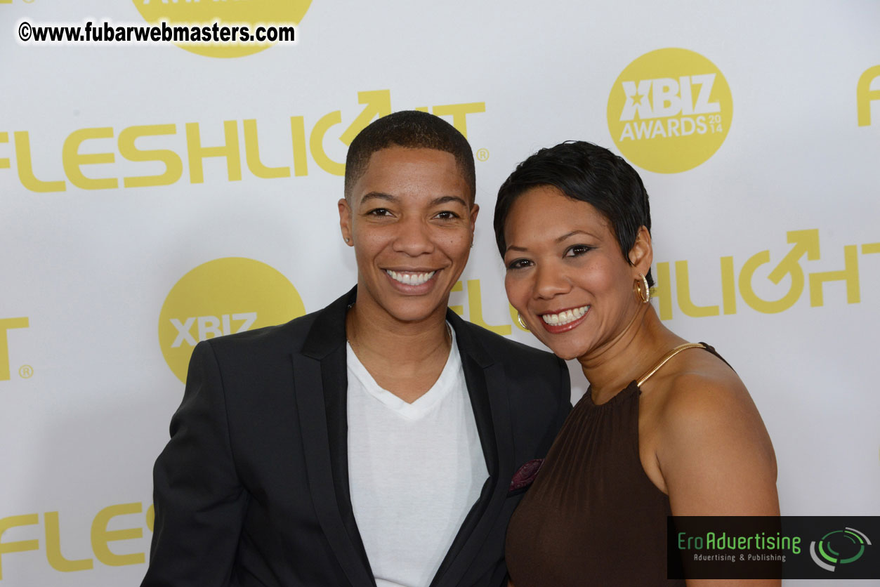 2014 XBIZ Awards