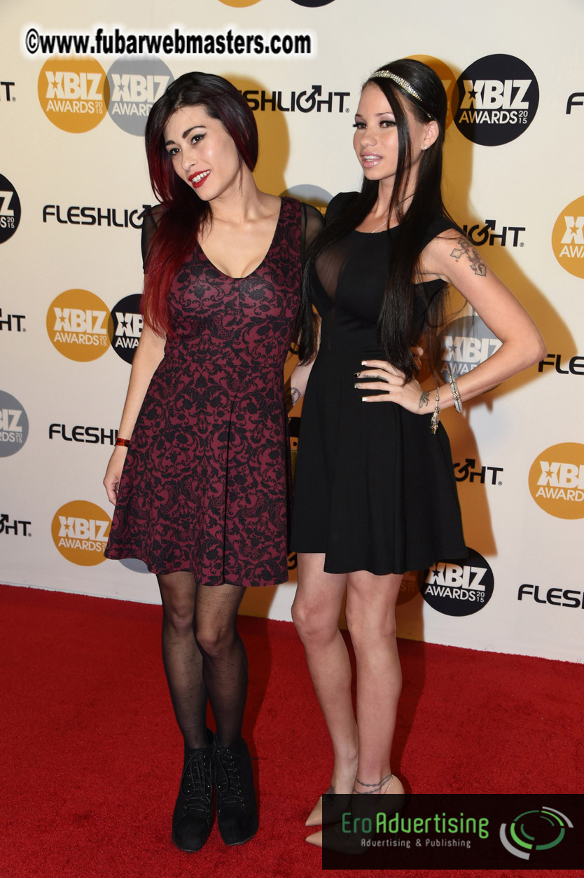 XBIZ Awards