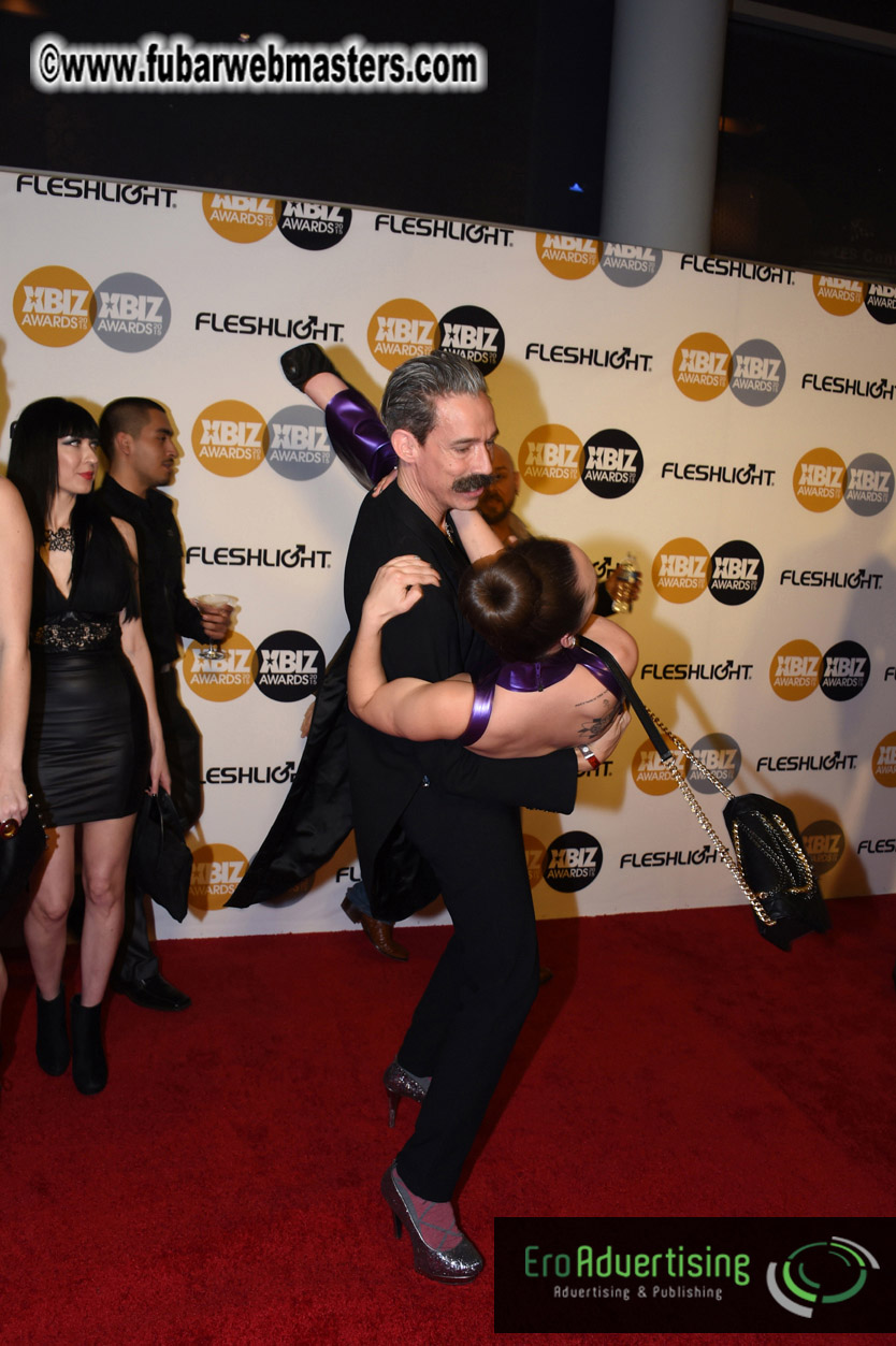 XBIZ Awards