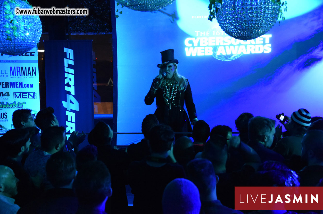 2016 Cybersocket Web Awards