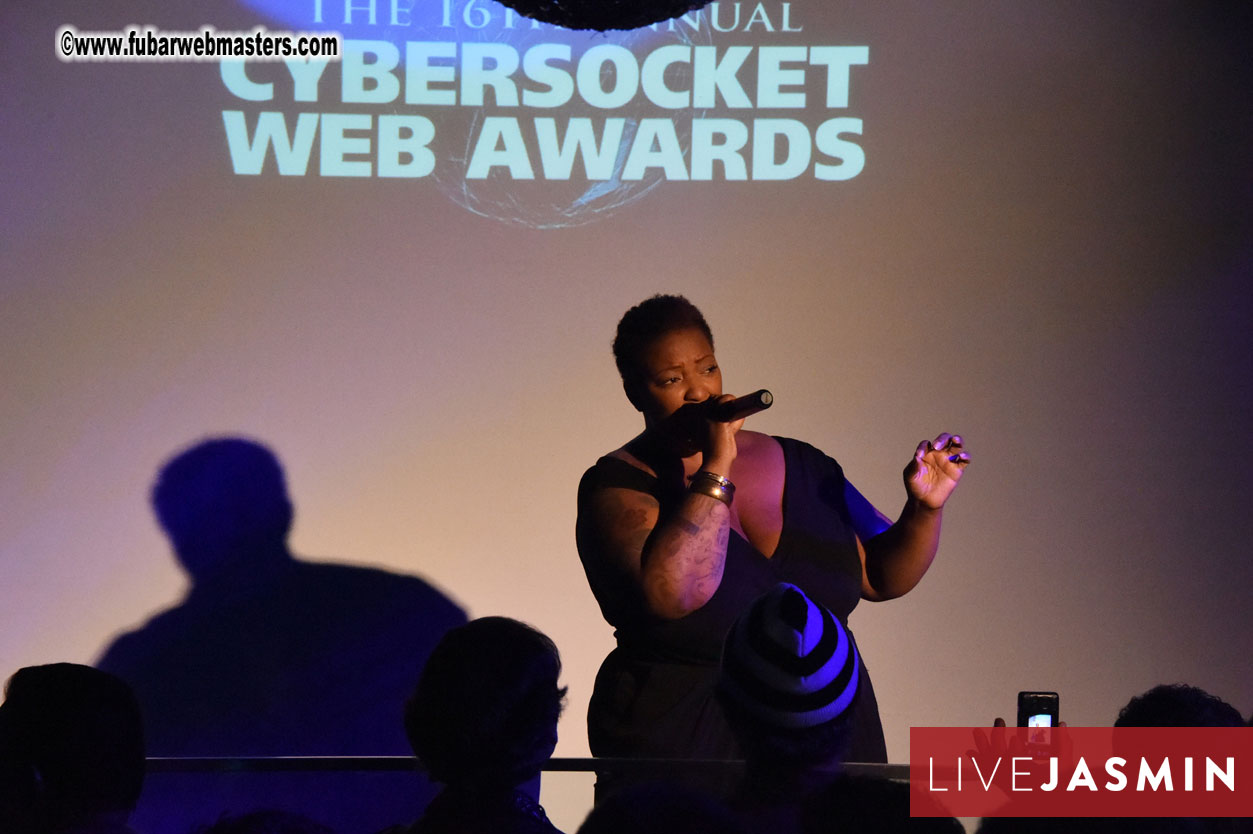 2016 Cybersocket Web Awards