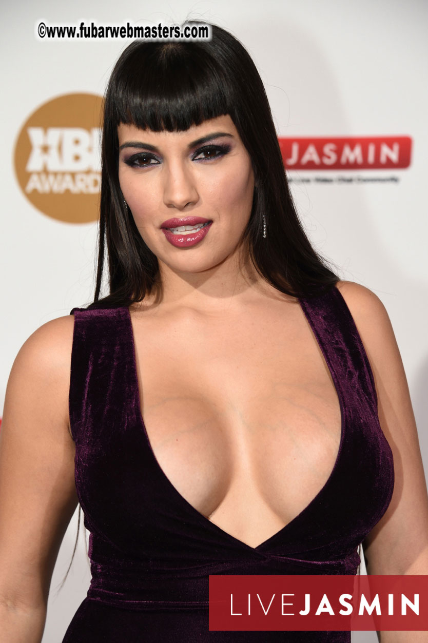 2016 XBIZ Awards