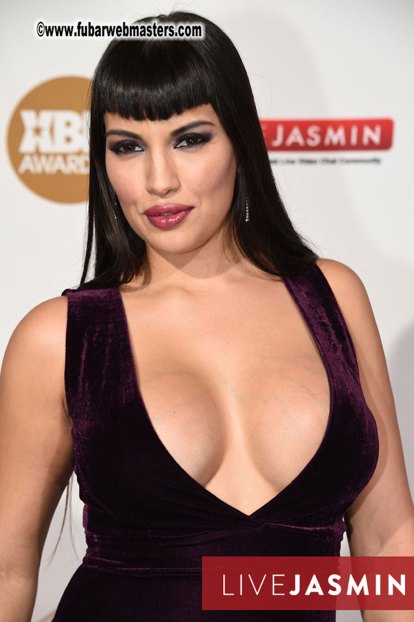 2016 XBIZ Awards