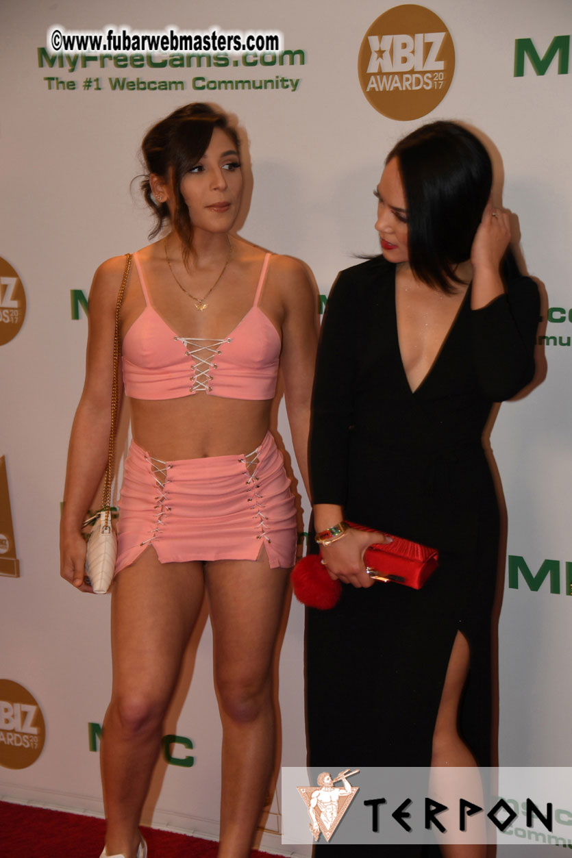 2017 XBIZ Awards Show