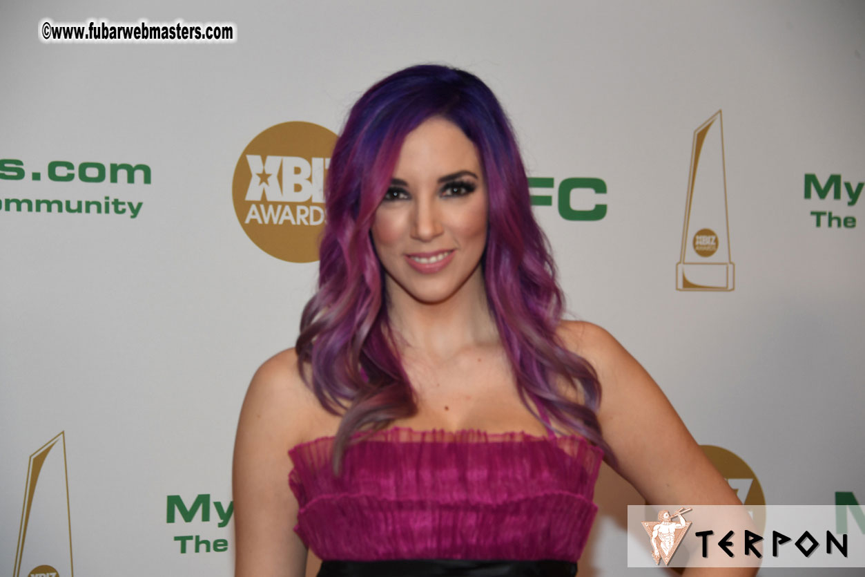 2017 XBIZ Awards Show