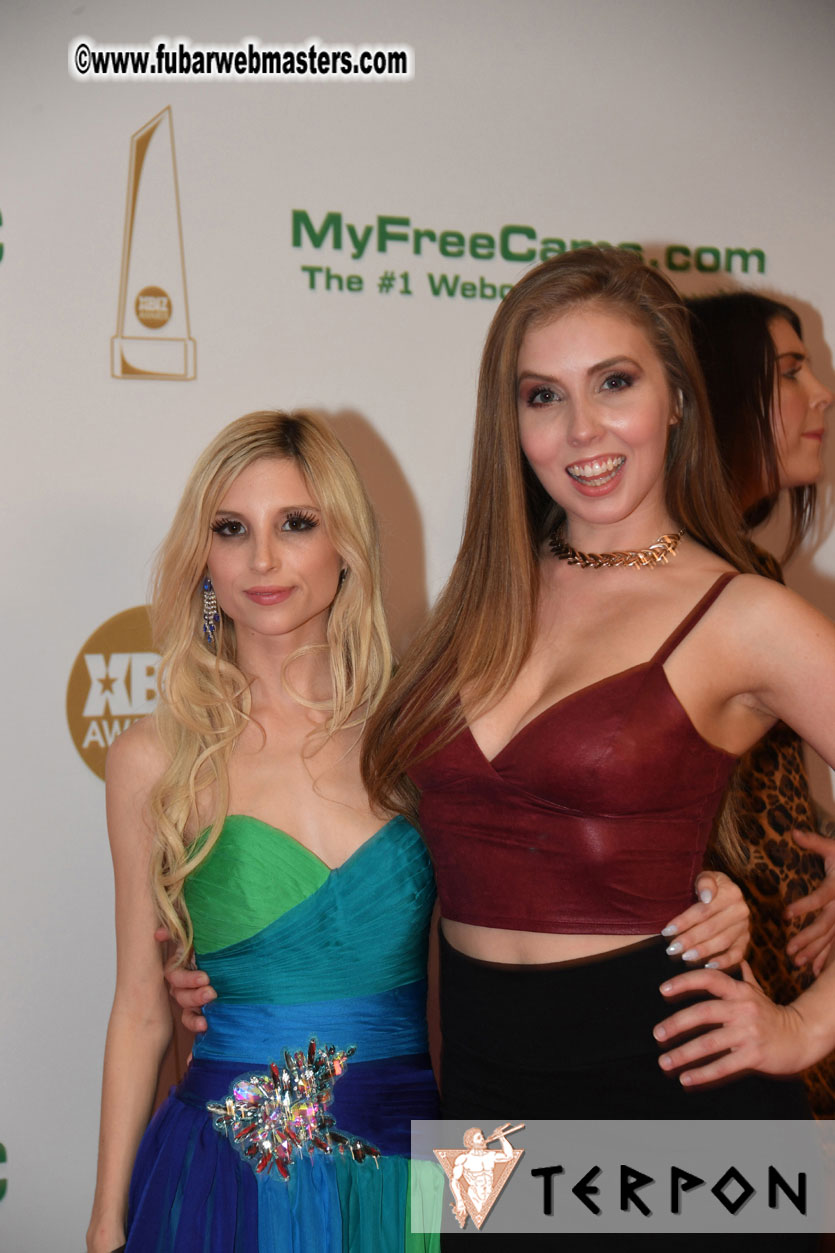 2017 XBIZ Awards Show