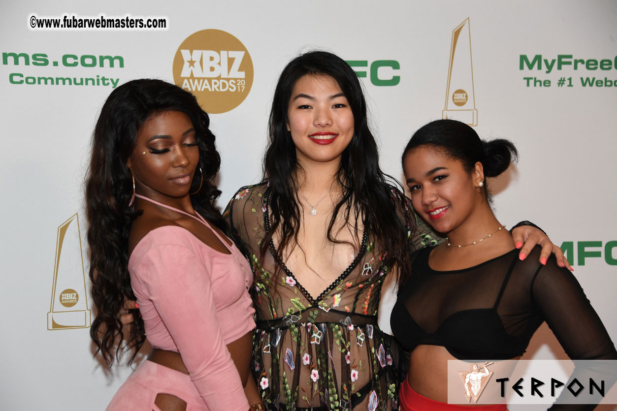 2017 XBIZ Awards Show