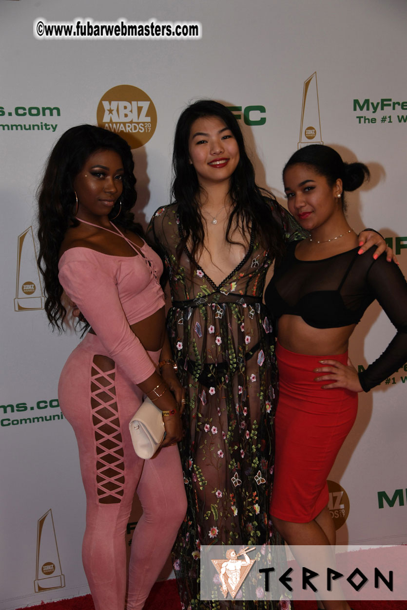 2017 XBIZ Awards Show