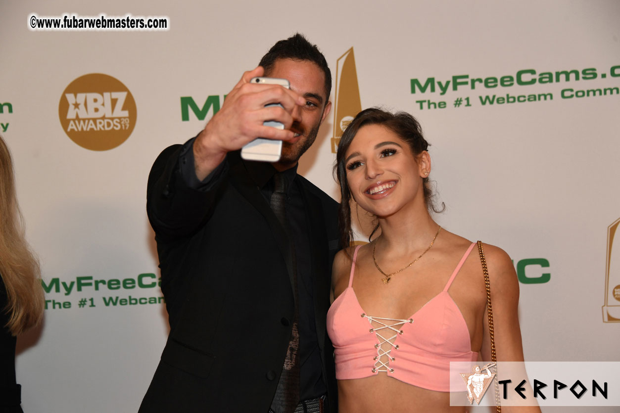 2017 XBIZ Awards Show