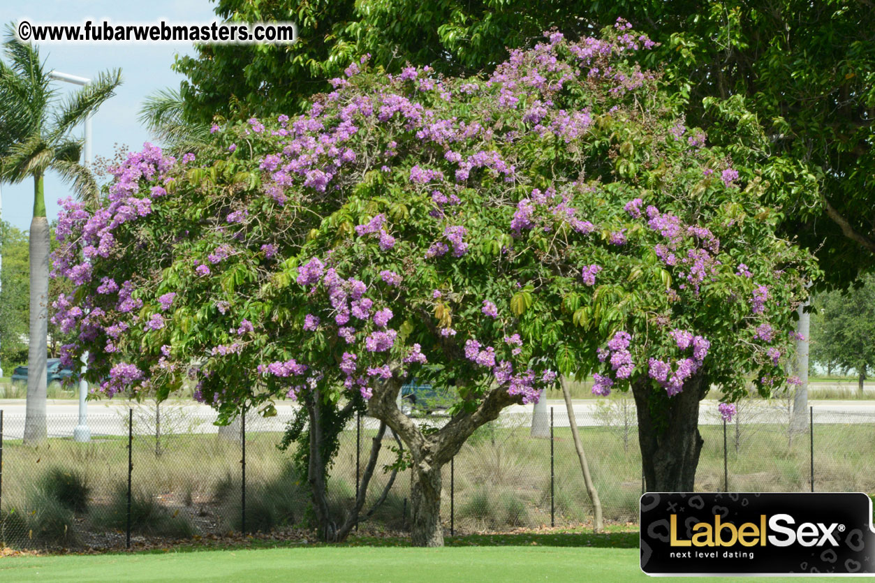 XBIZ Summit Golf Tournament