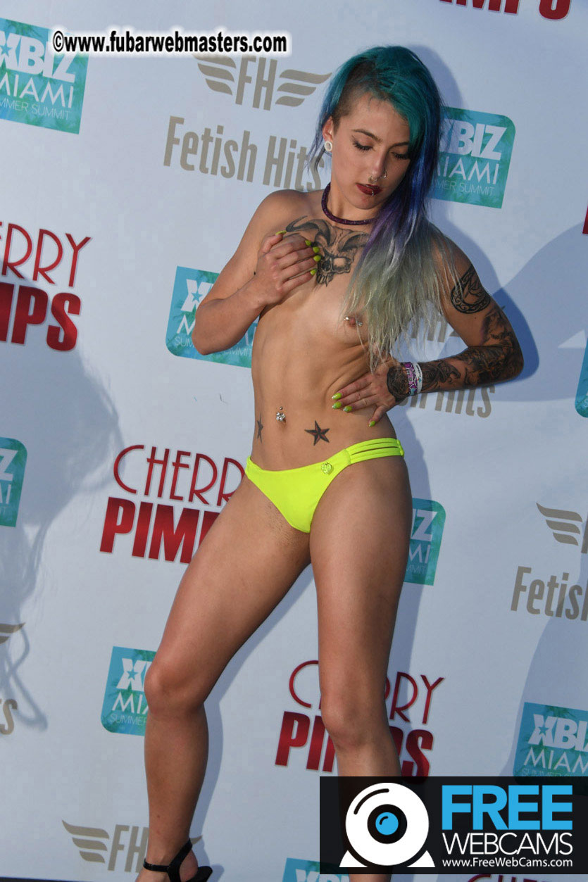 Miss XBIZ Miami Bikini Contest