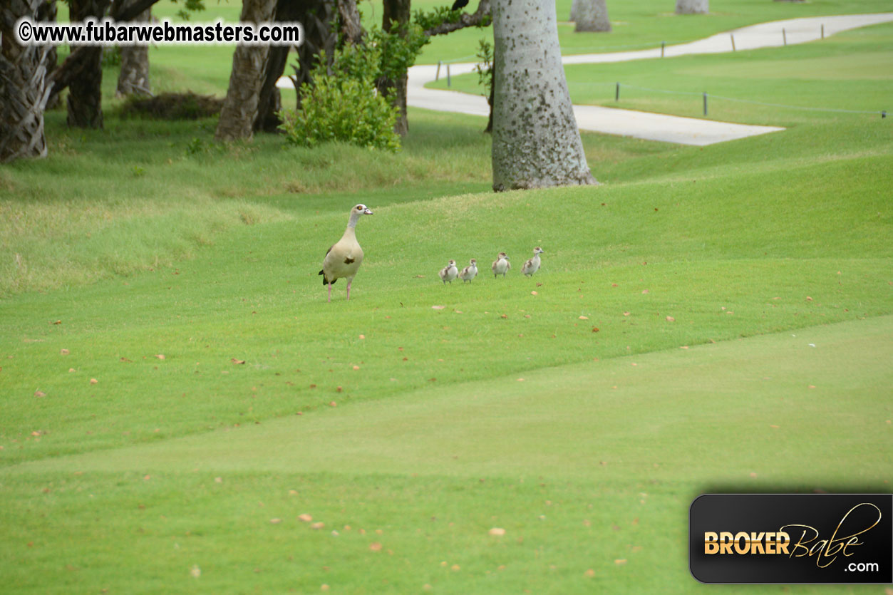 XBIZ Golf Tournament