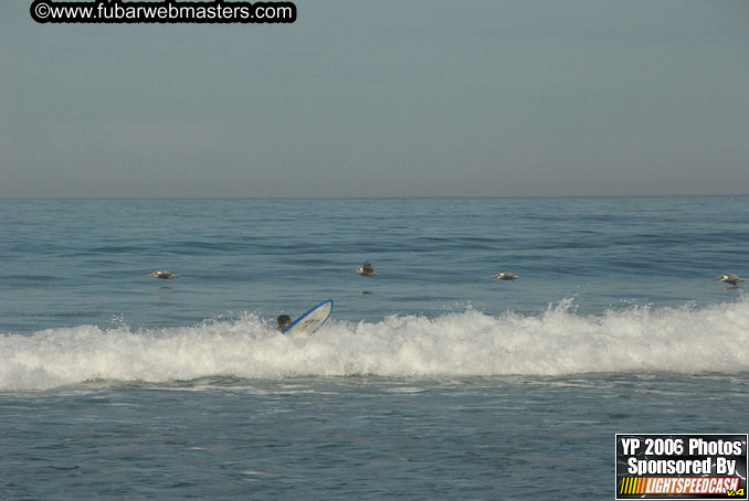 Poppy Surfing