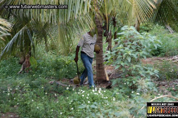 Plantation Ride  2003