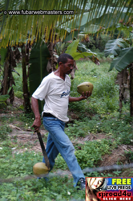 Plantation Ride  2003