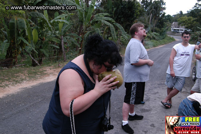 Plantation Ride  2003