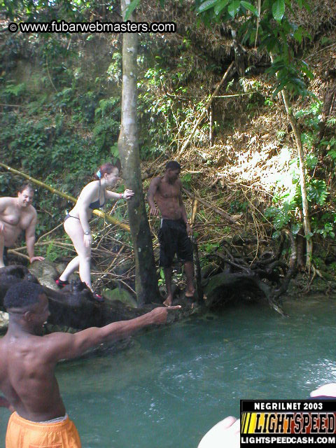 Mayfield Falls 2003