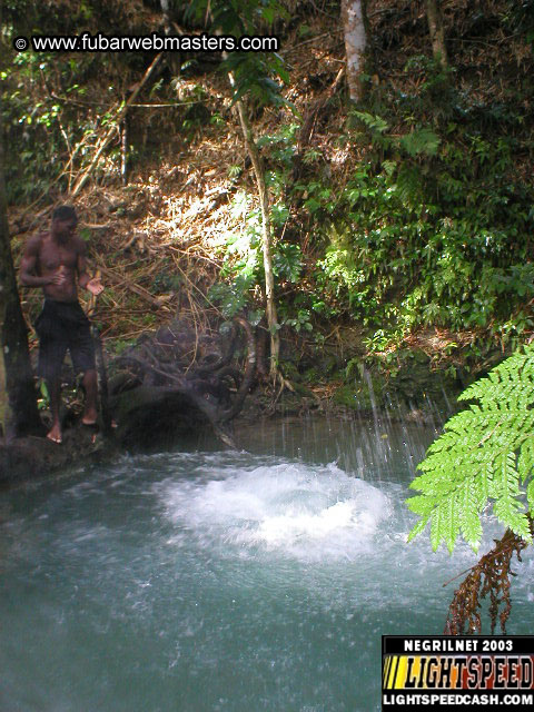 Mayfield Falls 2003