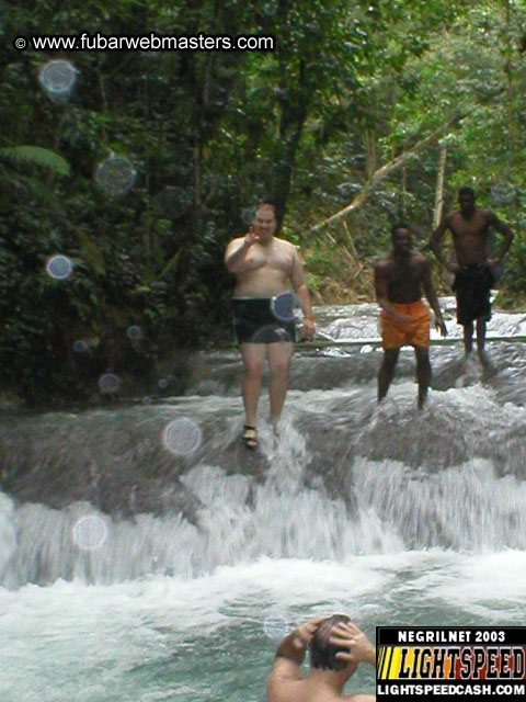 Mayfield Falls 2003