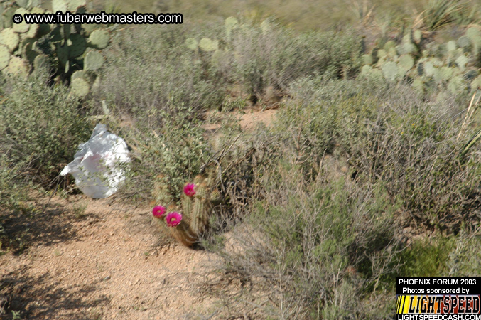 Desert Hummer Tour 2003