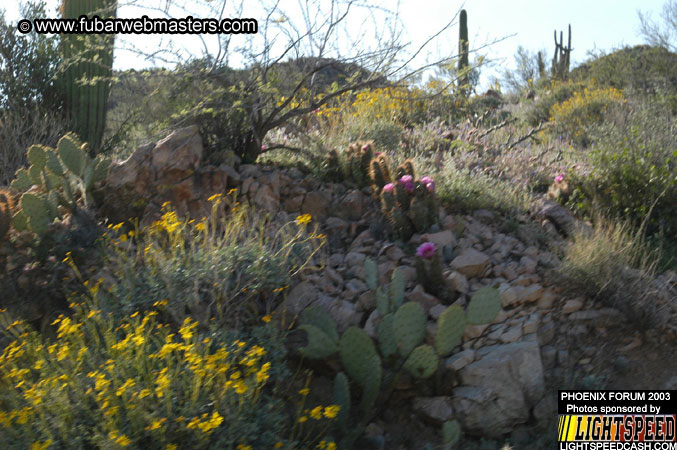 Desert Hummer Tour 2003