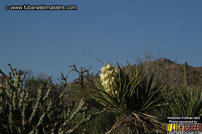 Desert Hummer Tour 2003