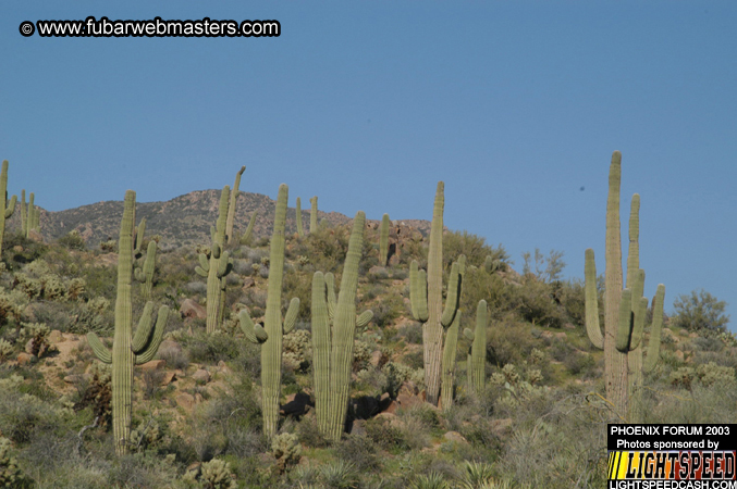 Desert Hummer Tour 2003