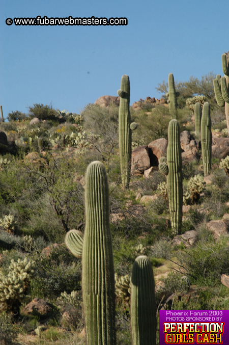 Desert Hummer Tour 2003