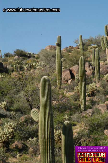 Desert Hummer Tour 2003