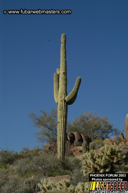 Desert Hummer Tour 2003