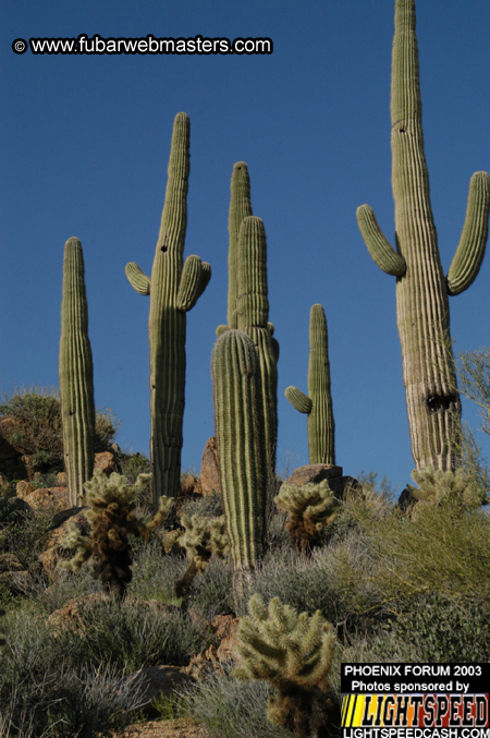 Desert Hummer Tour 2003