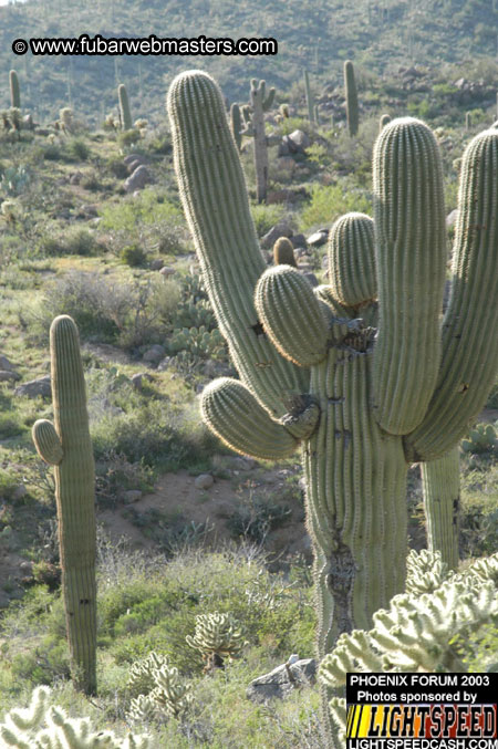 Desert Hummer Tour 2003