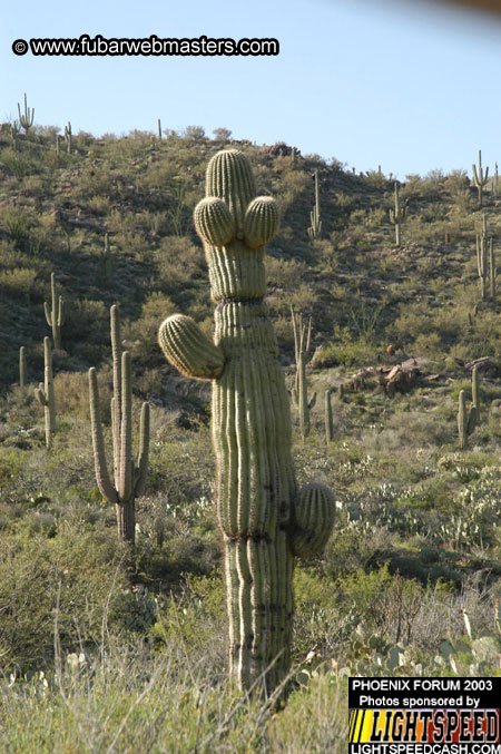 Desert Hummer Tour 2003