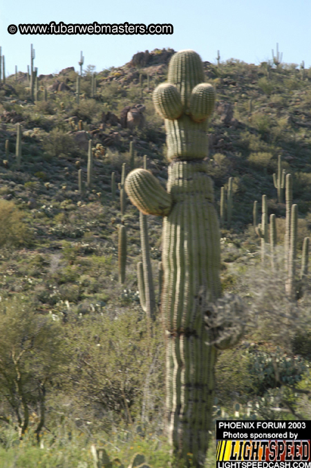 Desert Hummer Tour 2003