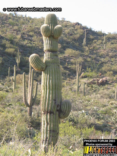 Desert Hummer Tour 2003