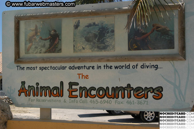 Encounter the Dolphins 2003